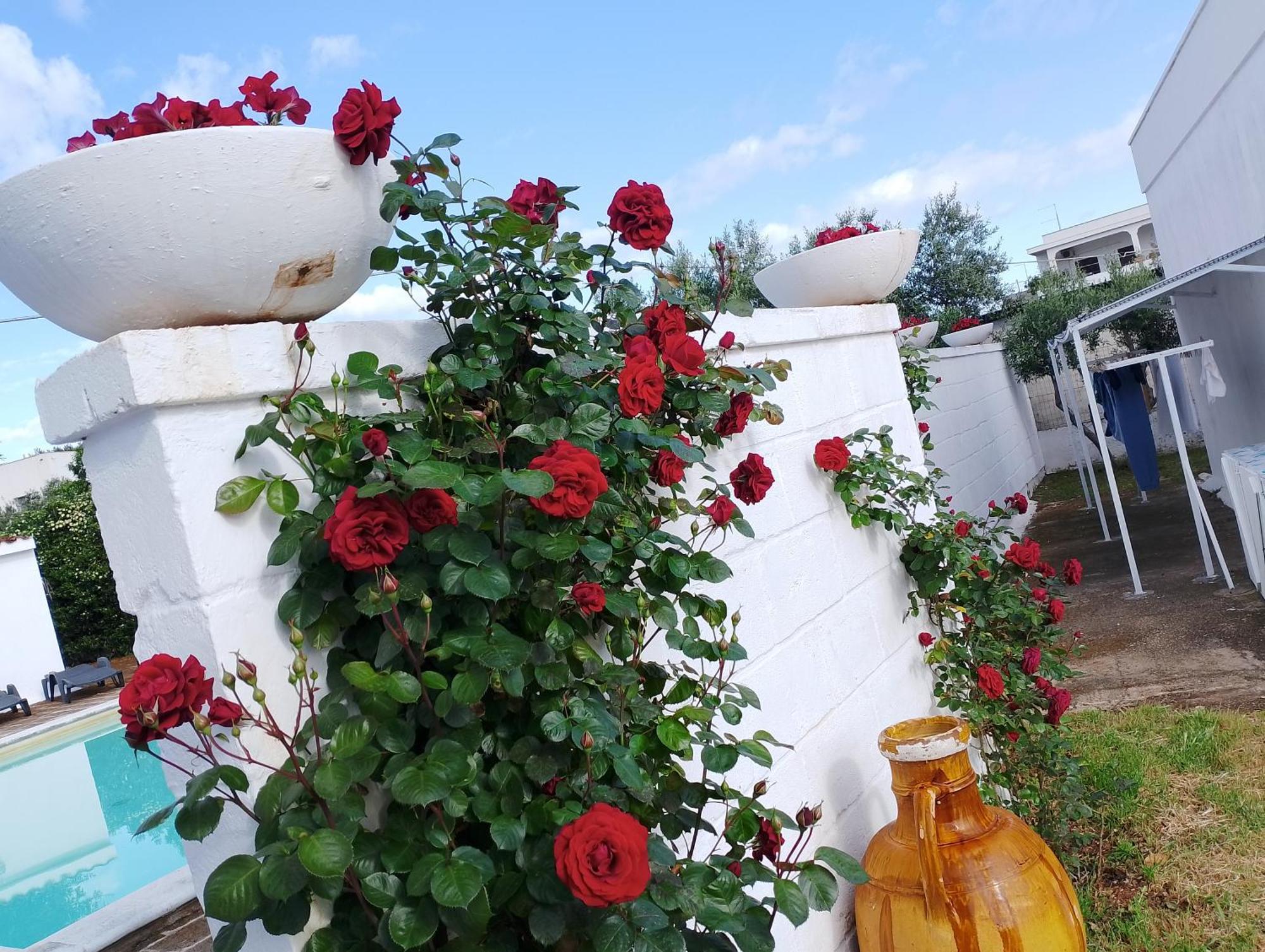 La Dimora Di Nonna Giuliana Hotel Ostuni Exterior foto